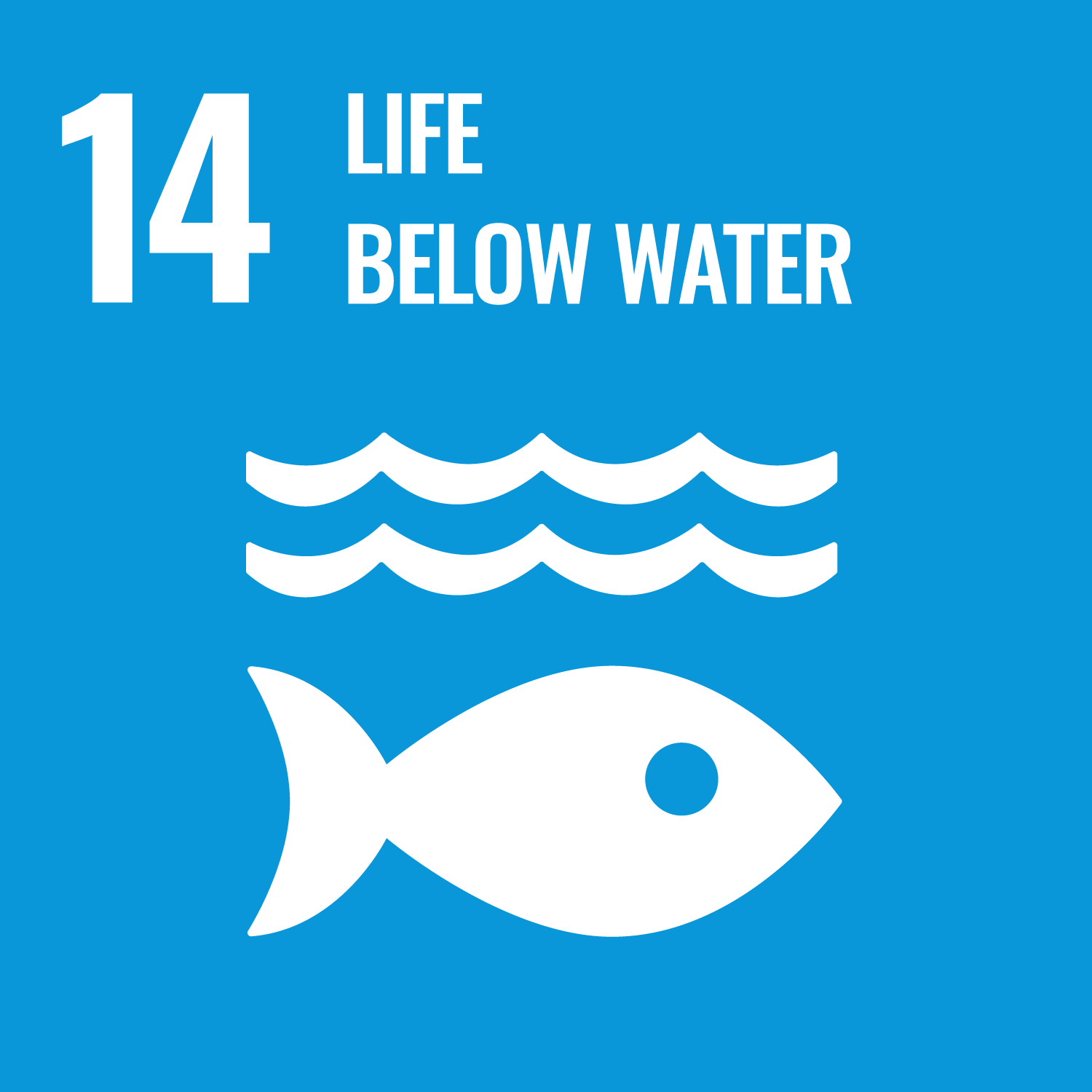SDGs 14_Life Below Water